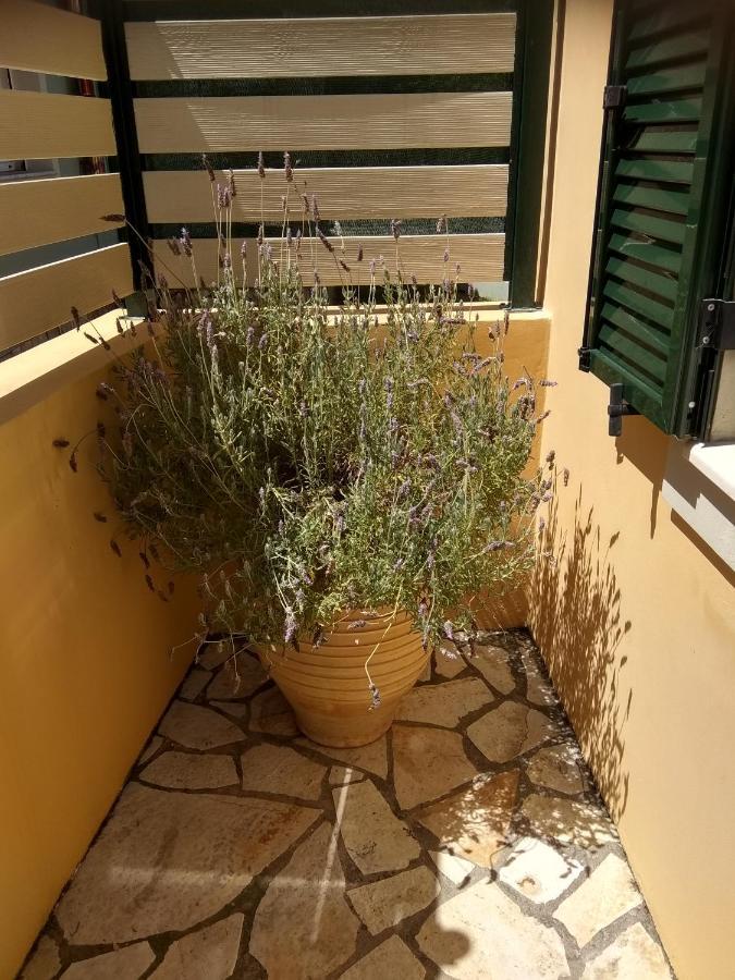 Eirini'S House Liapades Apartment ภายนอก รูปภาพ