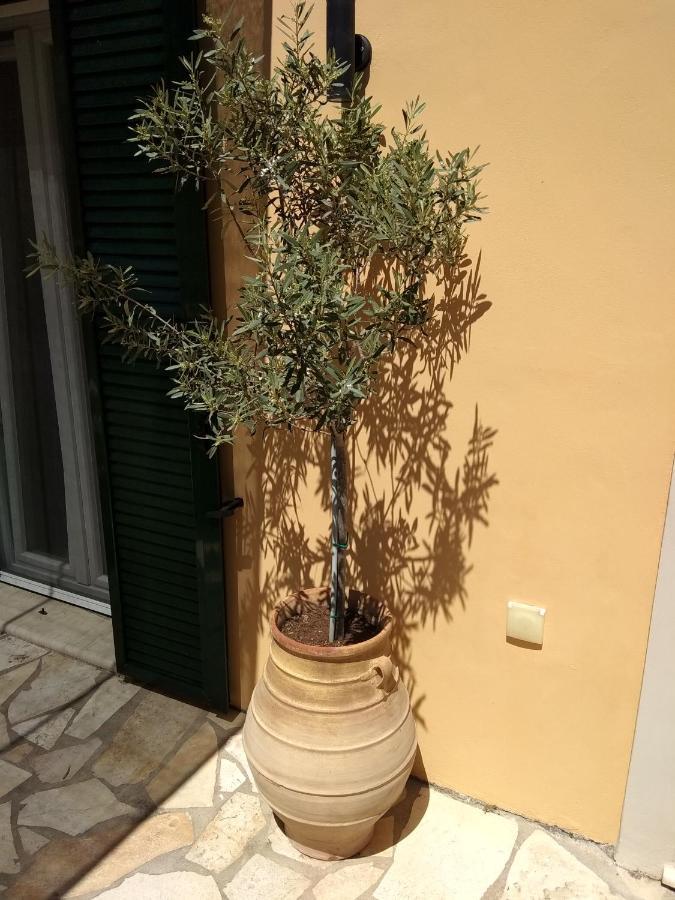 Eirini'S House Liapades Apartment ภายนอก รูปภาพ